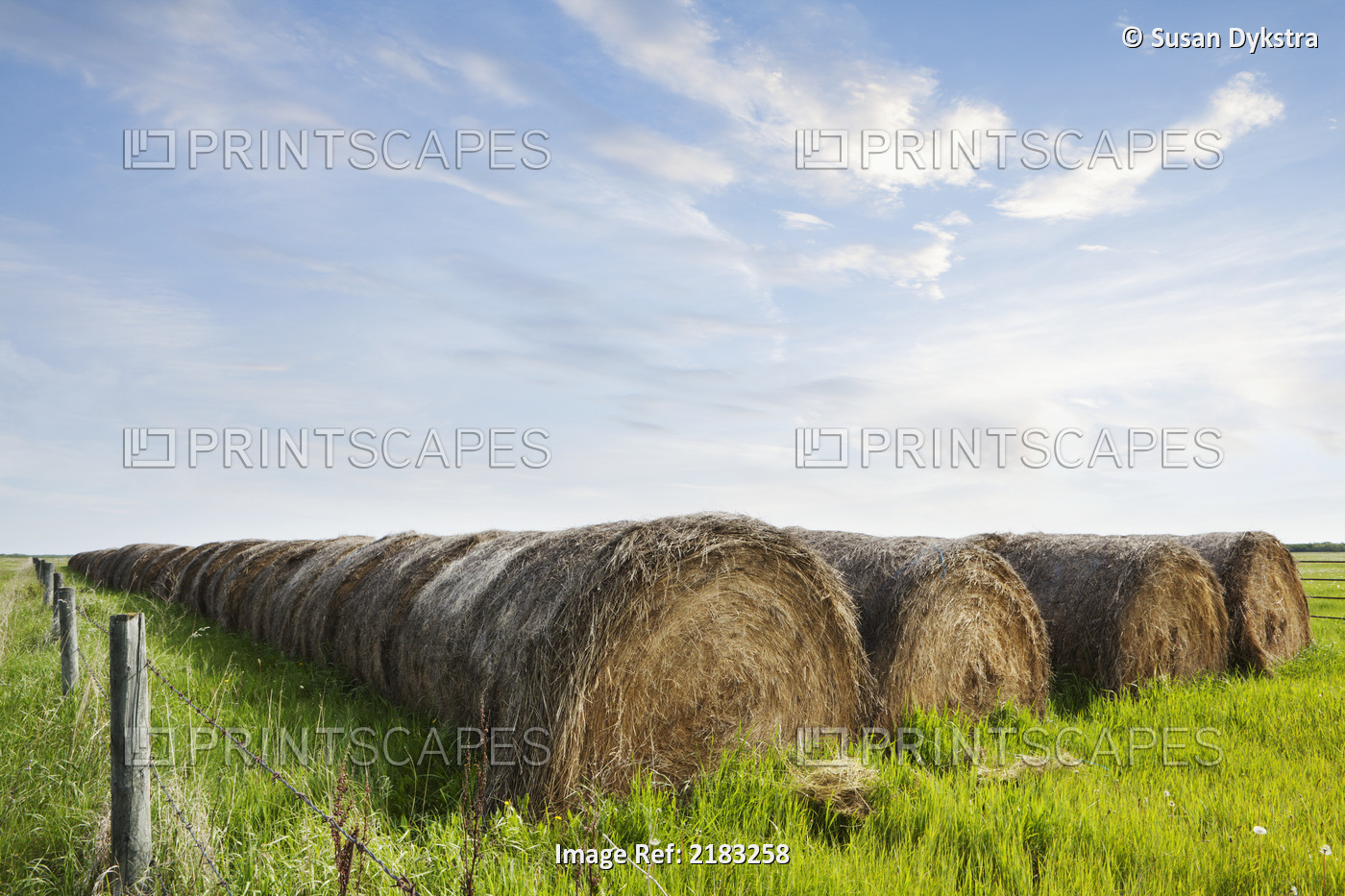 Hay Bales in the Prairies