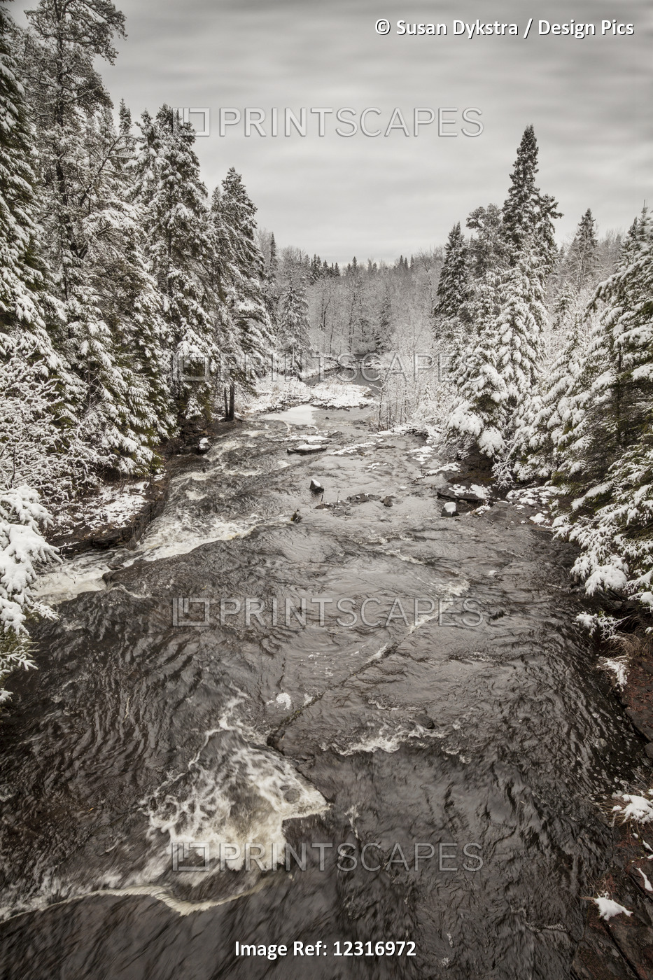 River's Winter