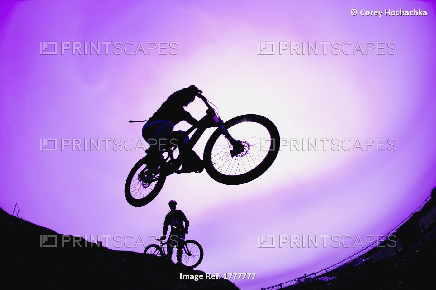 A Stunt Cyclist Silhouette