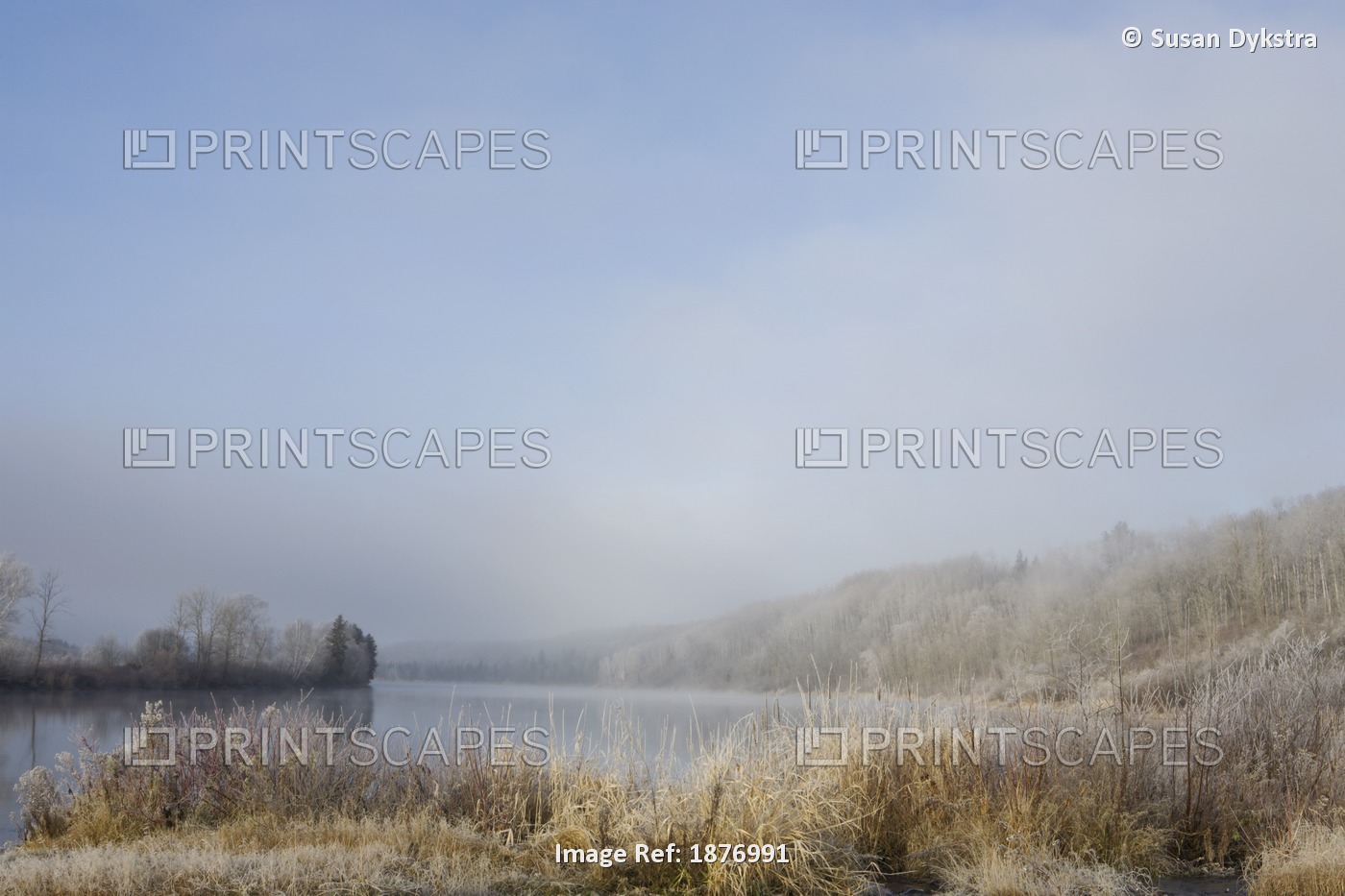 Frost On The Tall Grass Along The Shore Of A Lake; Thunder Bay, Ontario, Canada