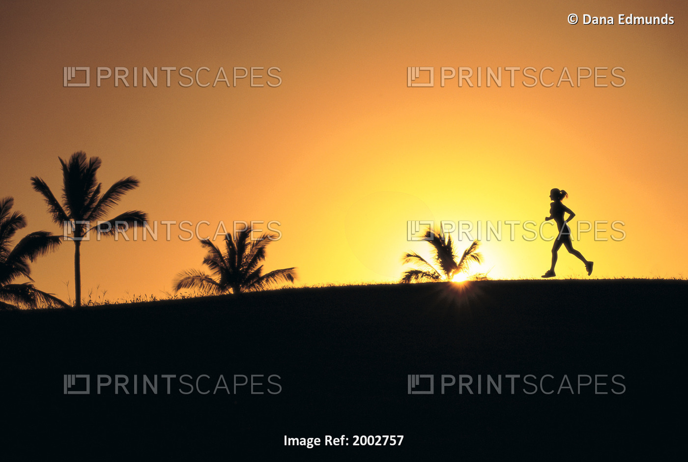 Woman In Distance, Silhouetted Running At Sunset, Palm Trees