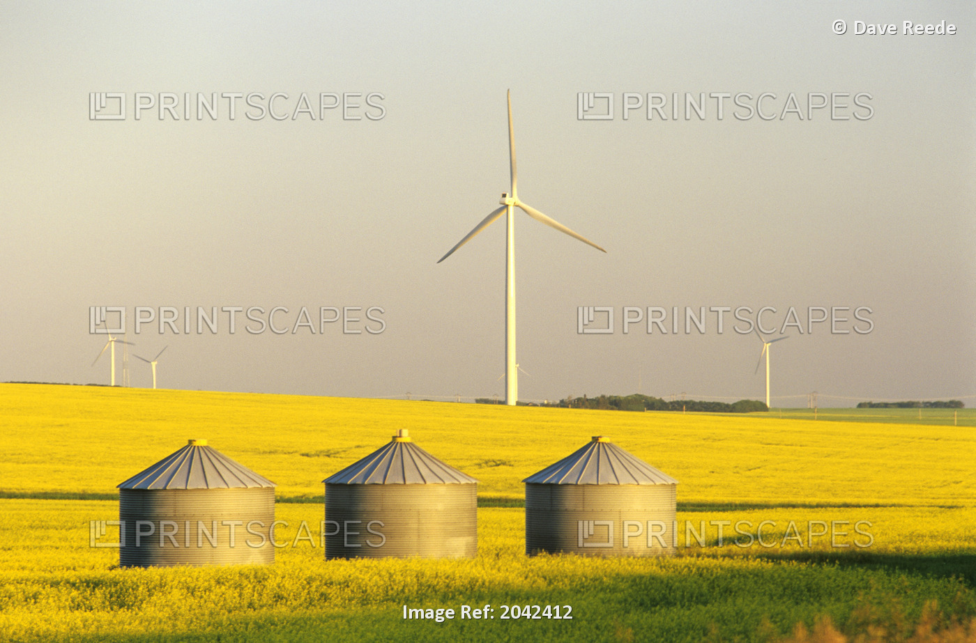 Artist's Choice: Grain Bins And Wind Turbines In Canola Field, Near St. Leon, ...