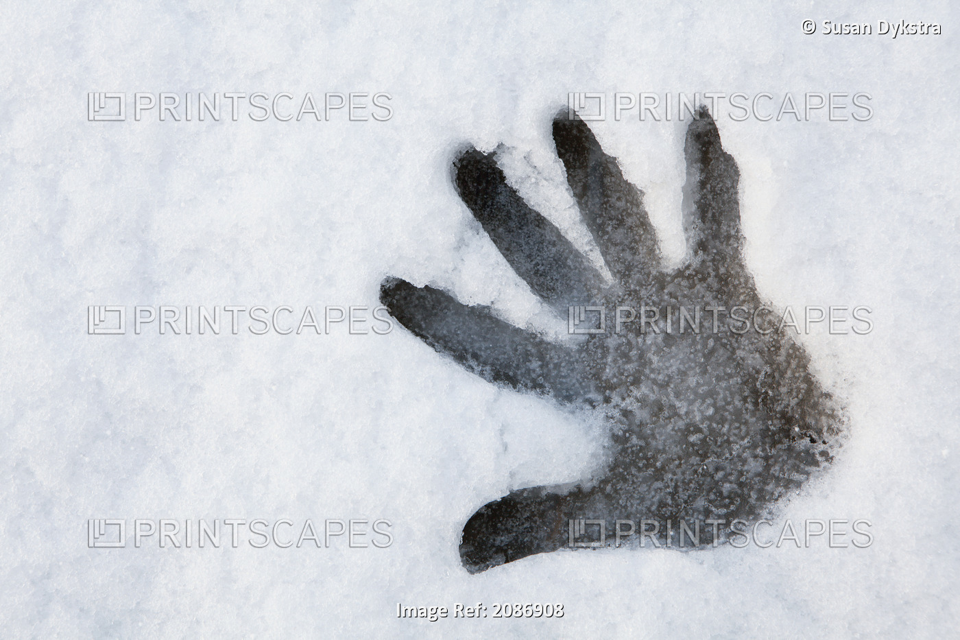 Hand Melt In Snow