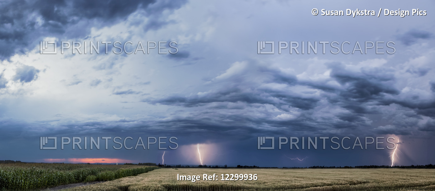 Storm clouds and lightning strikes over a rural landscape; Thunder Bay, ...
