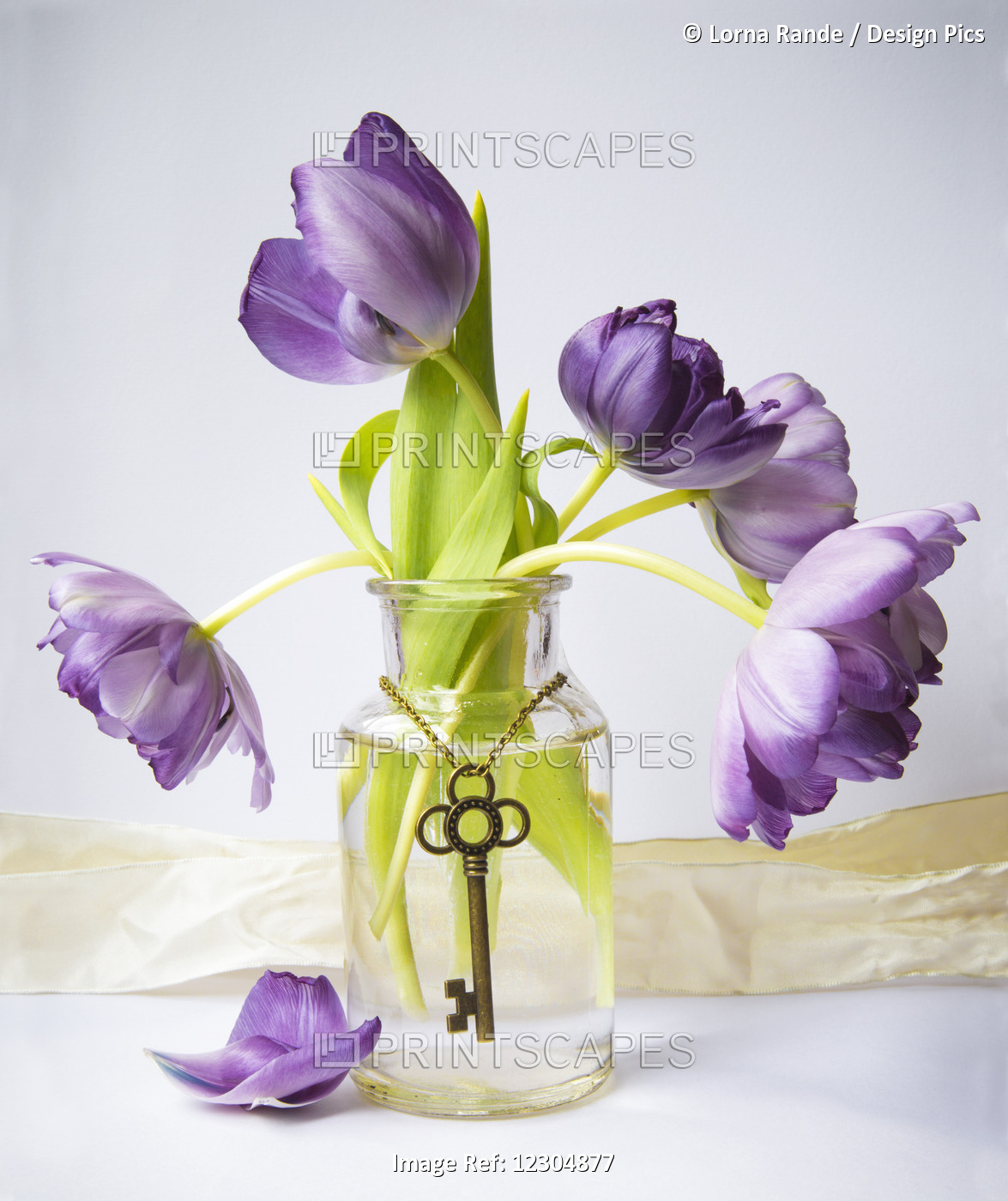 Purple Tulips In A Vase With An Antique Key Hanging Gracefully Around The Vase; ...
