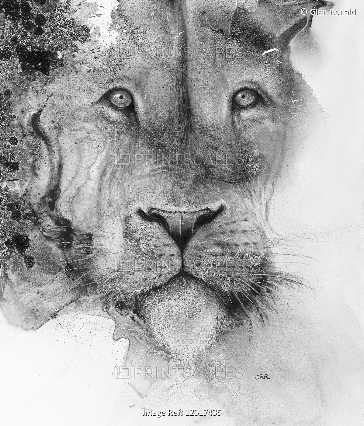 Lion, Black And White Artwork