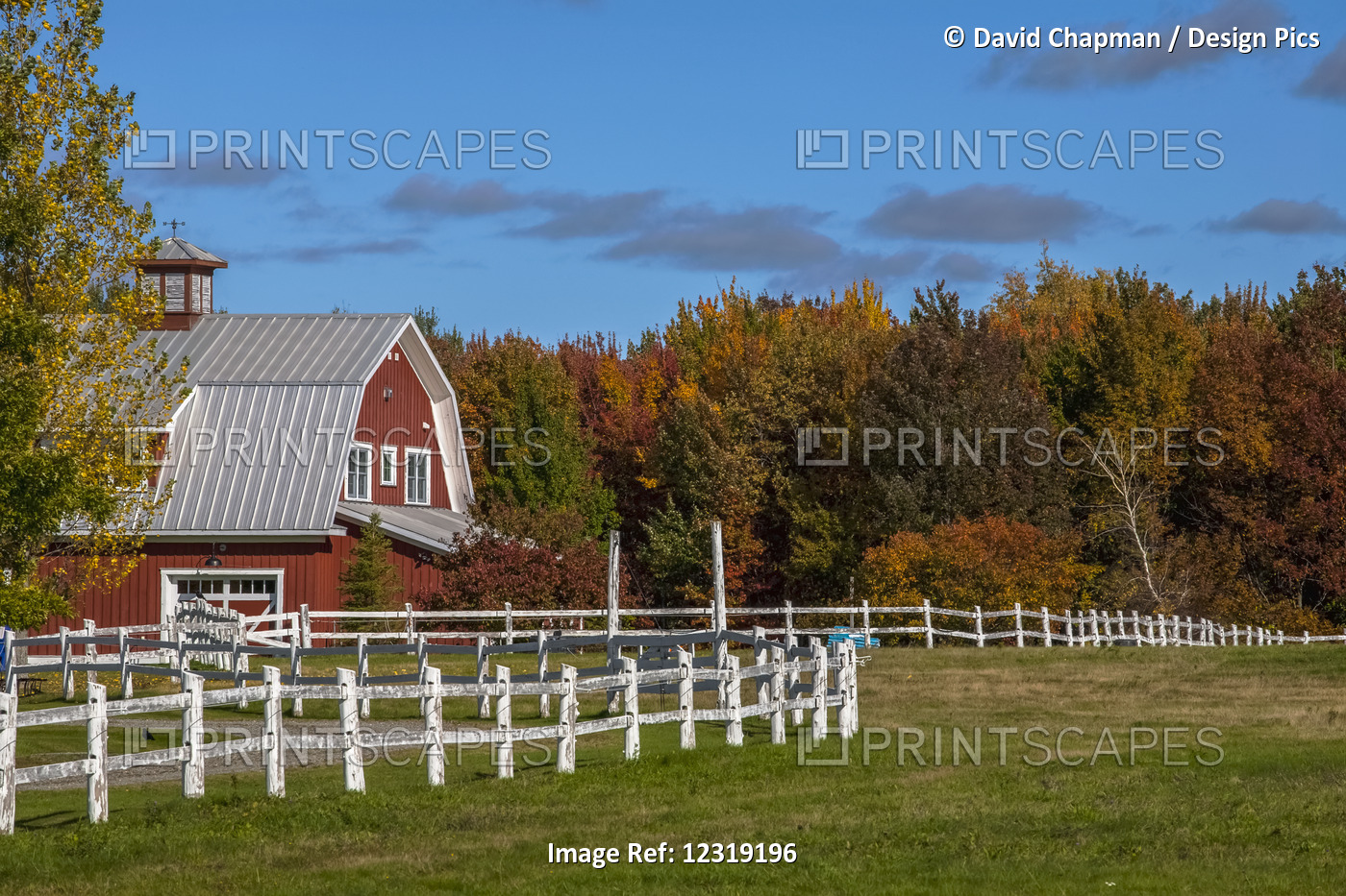 The white fence by the red barn