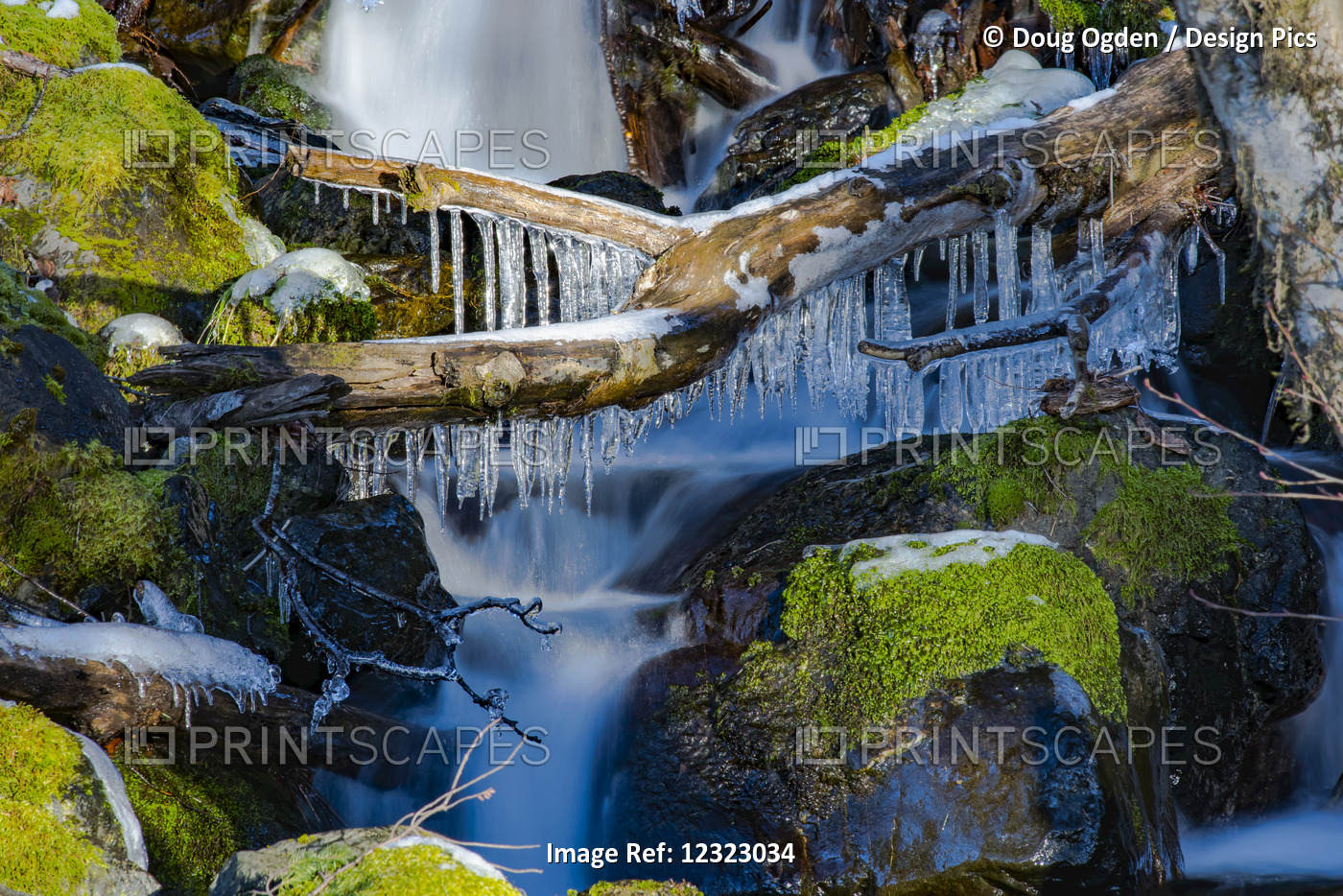Collection Of Ice On A Fallen Log Over A Little Waterfall In The Olympic ...