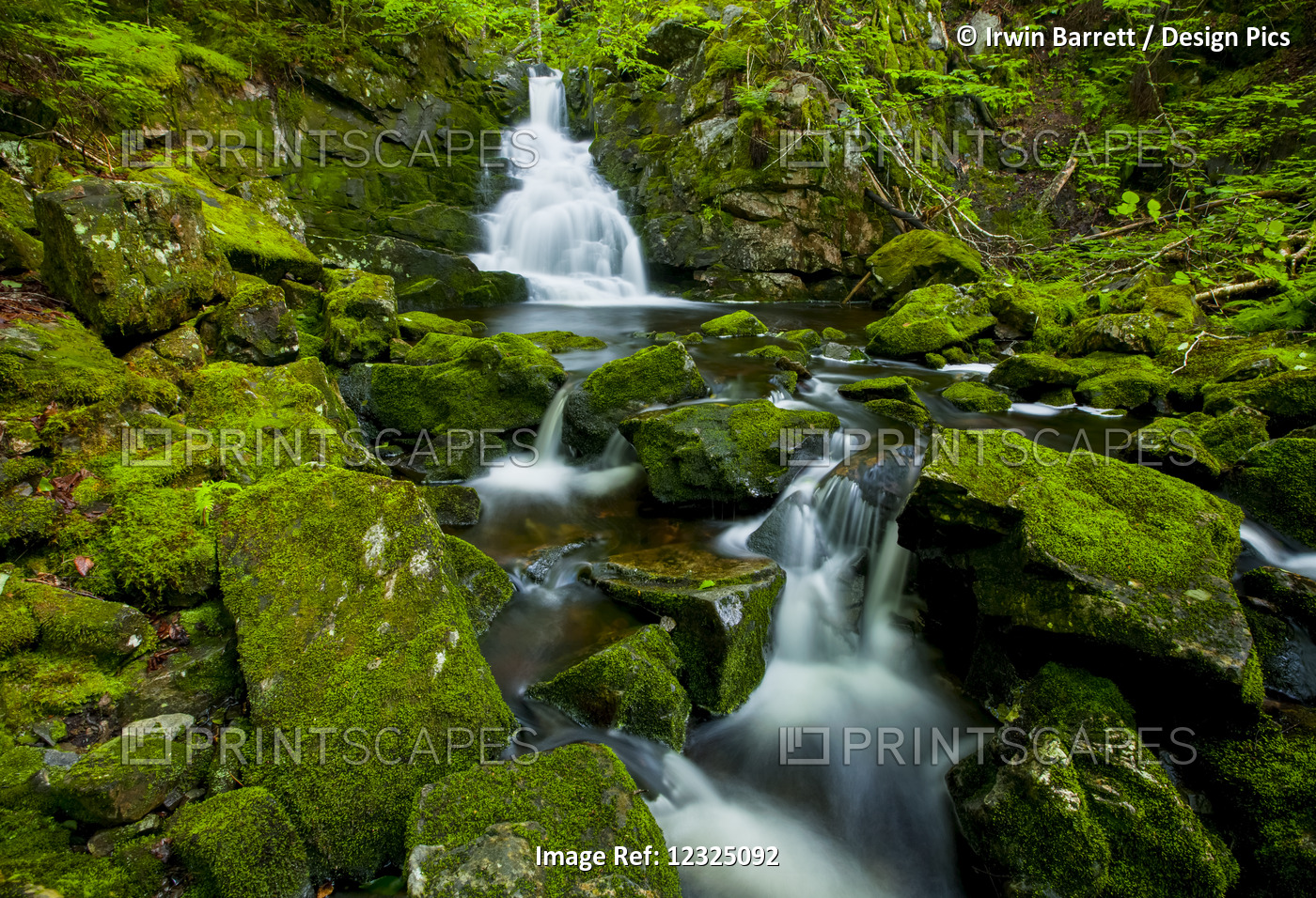 Waterfall And Mossy Rocks, East Branch Of Great Village River, Near Wentworth ...