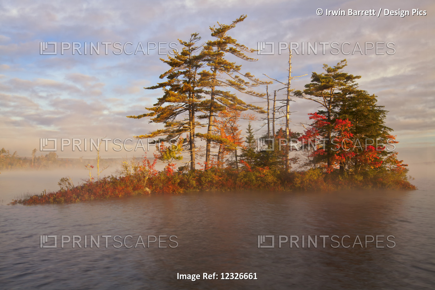 Island And Morning Mist On Grand Lake,  oakfield Provincial Park; Nova Scotia, ...