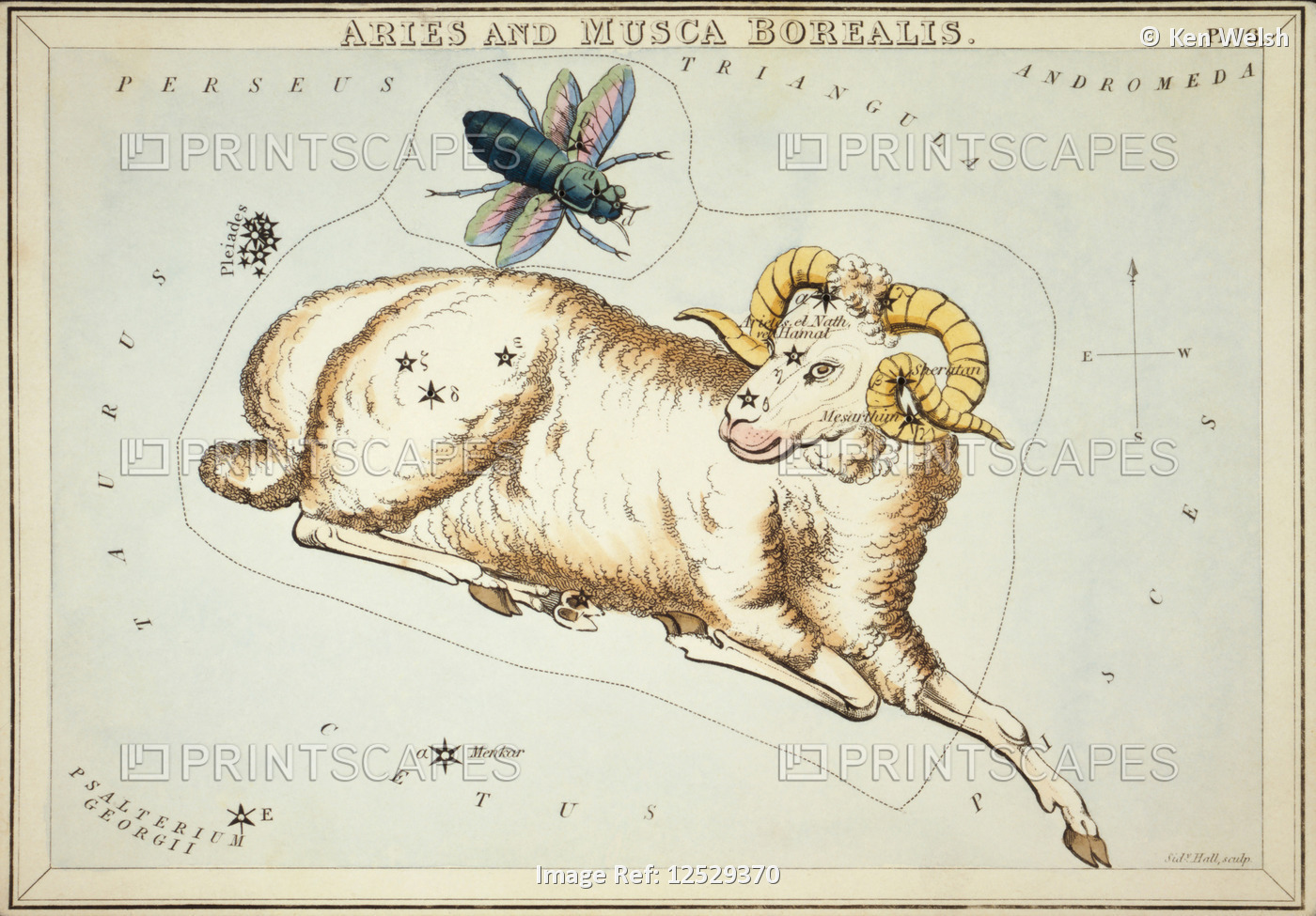 Aries and Musca Borealis. Card Number 16 from Urania's Mirror, or A View of the ...