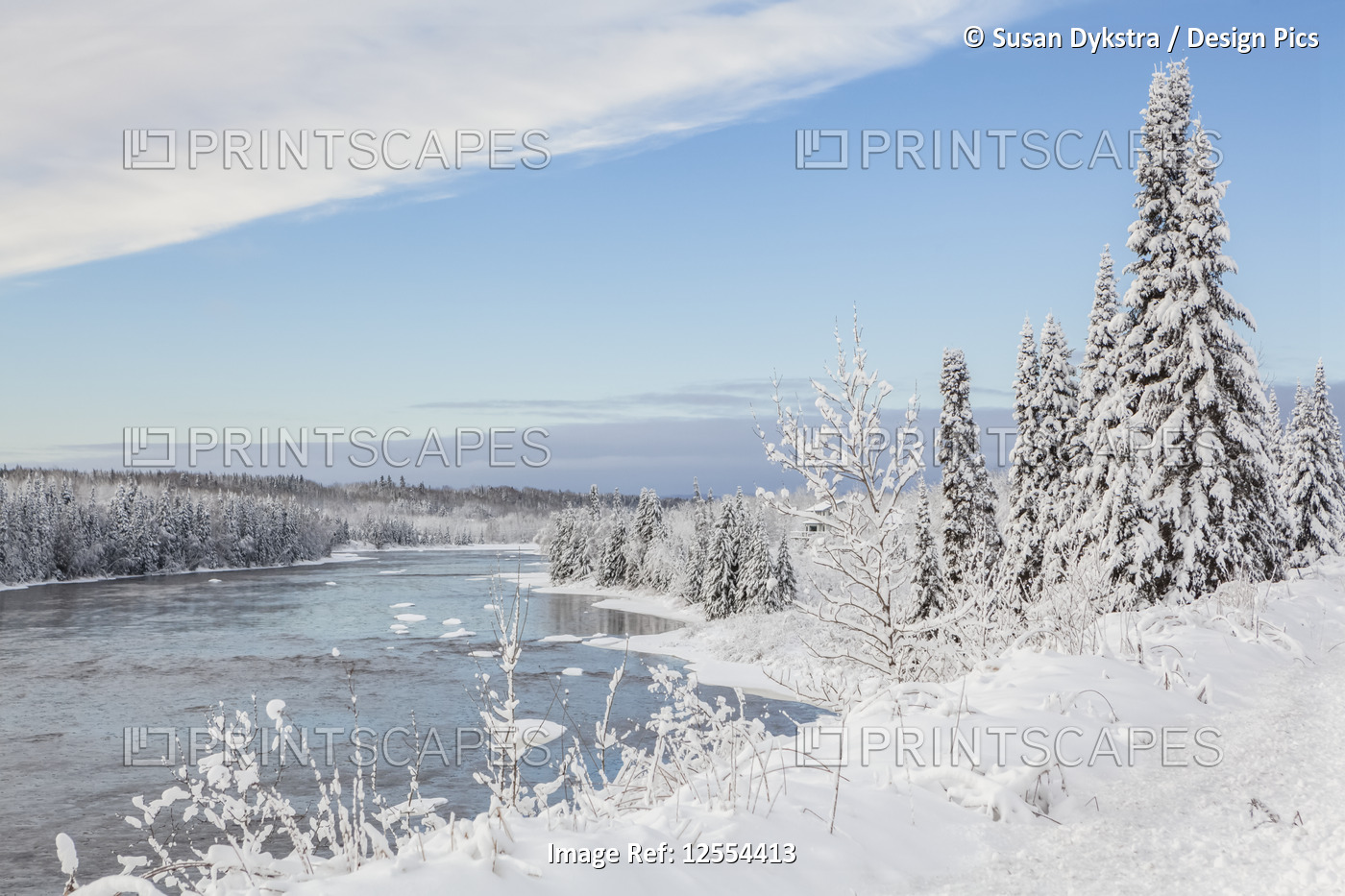 Snow-covered trees along river