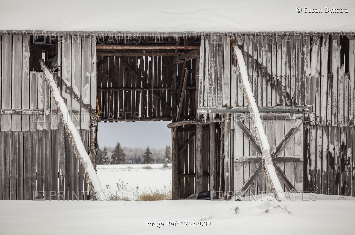 Dilapidated Barn in Winter