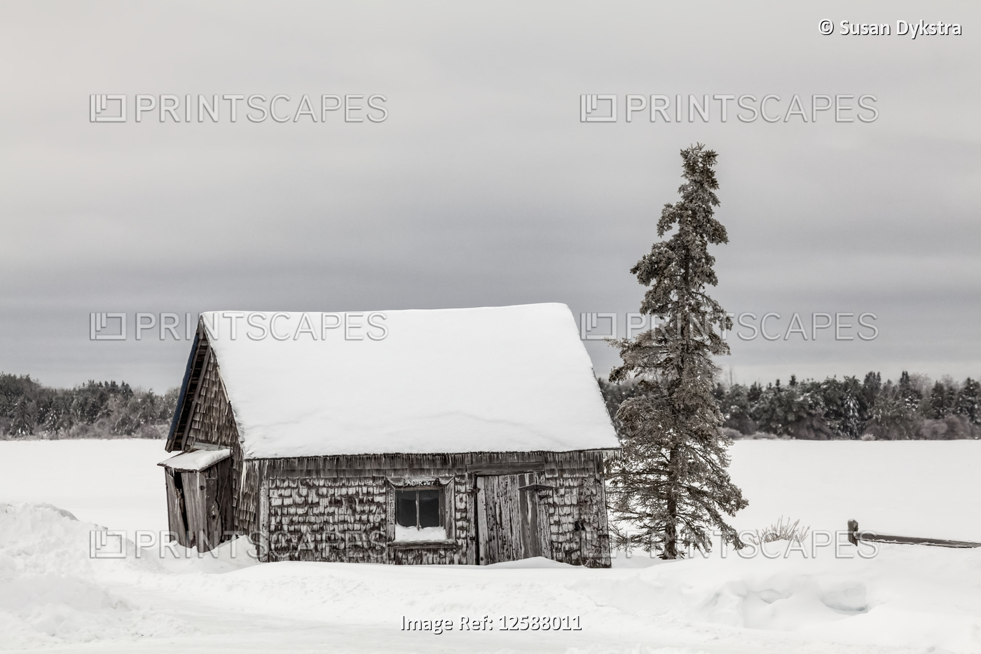 Abandoned Barn in Winter