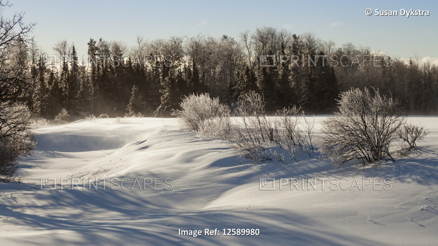 Winter landscape with shadows