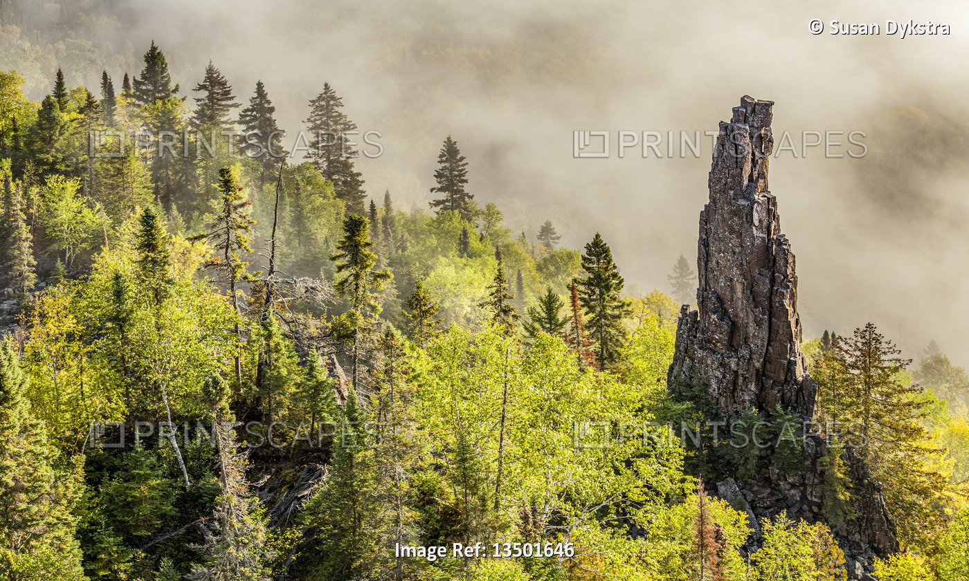 Mist in the Autumn Forest with rock pinnacle
