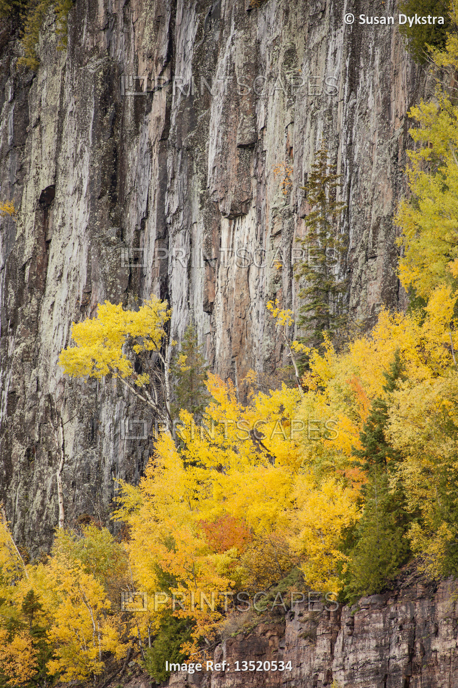 rock cliffs in autumn