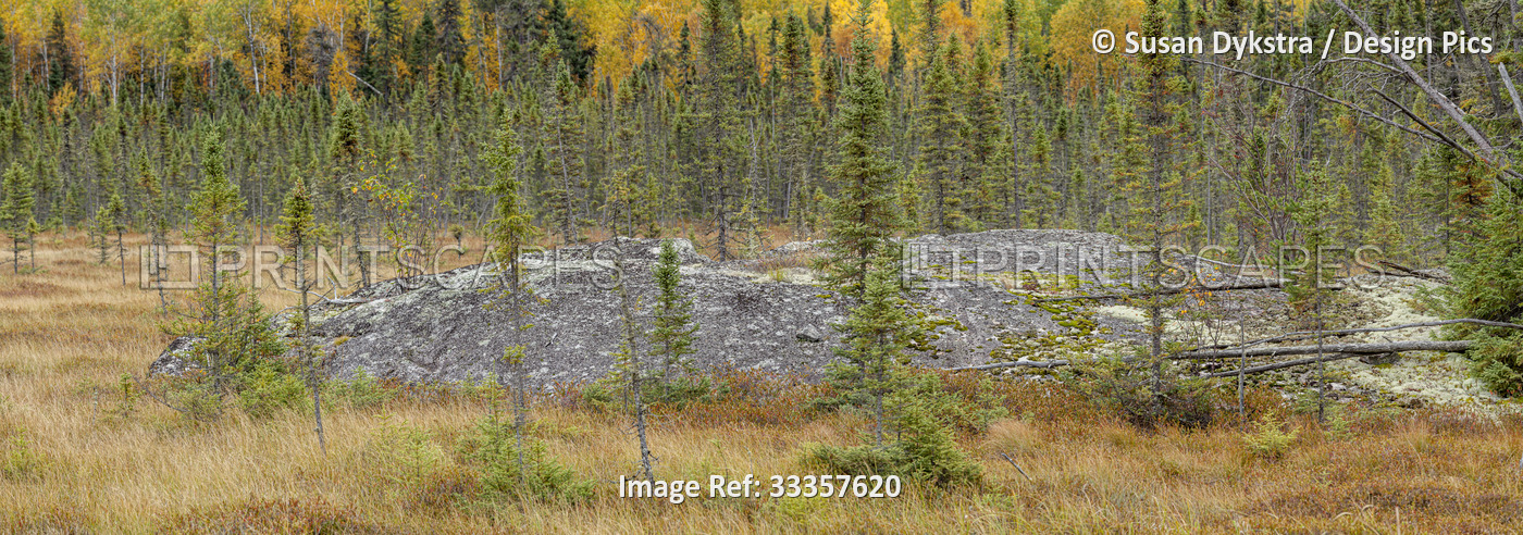 Autumn Tundra 