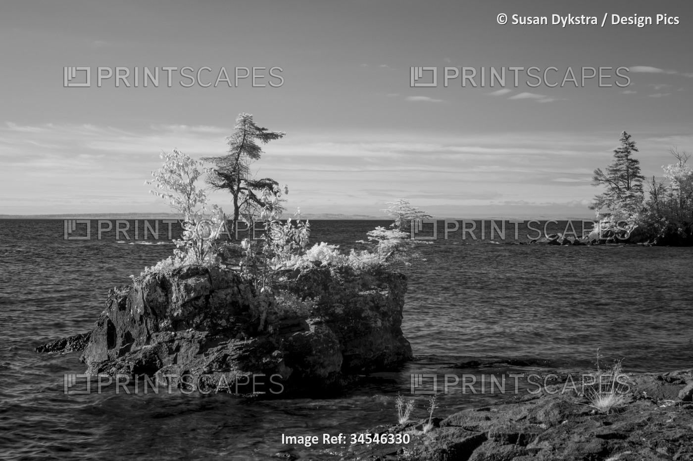 Infrared scenic of trees and rocks along Lake Superior, Ontario, Canada